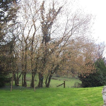 Chateau Champigny Maillet (Allier) Exterior foto