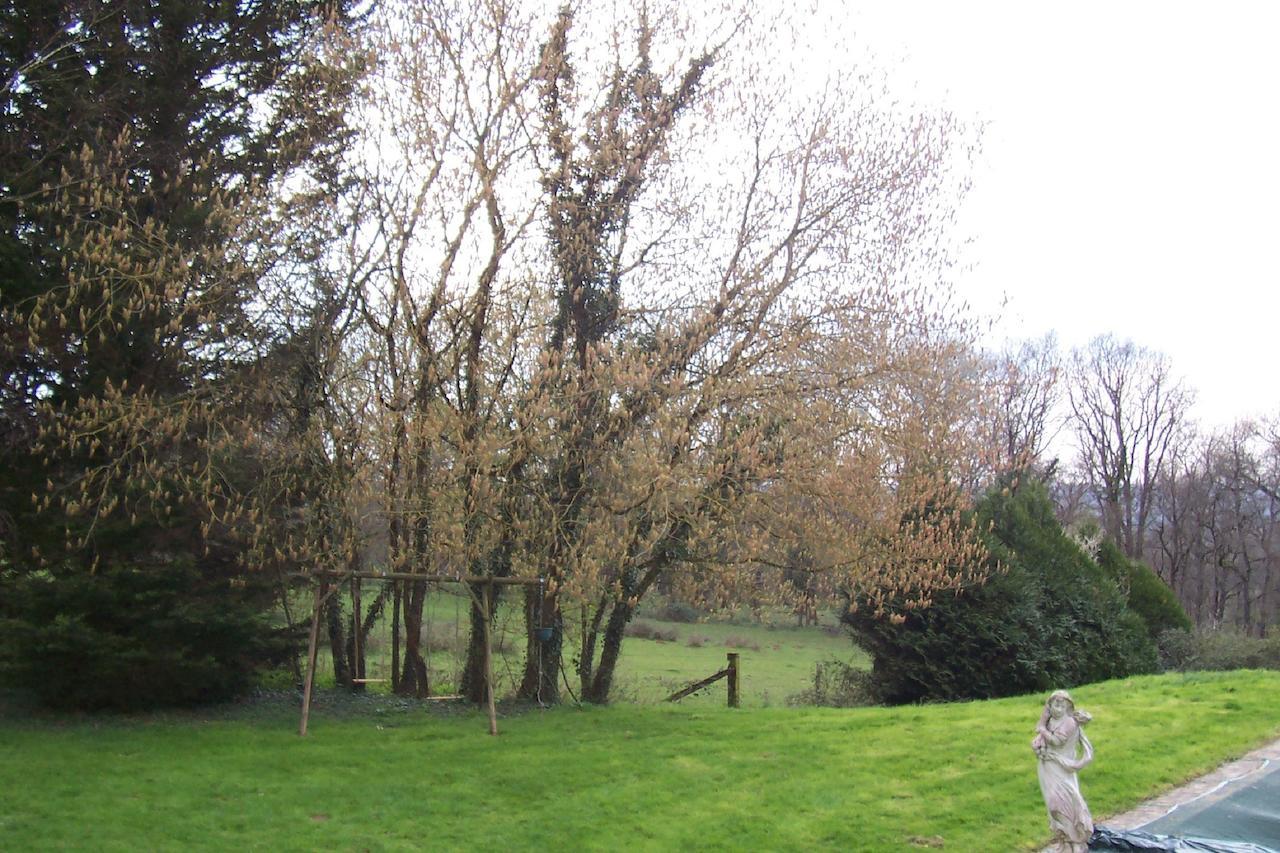 Chateau Champigny Maillet (Allier) Exterior foto